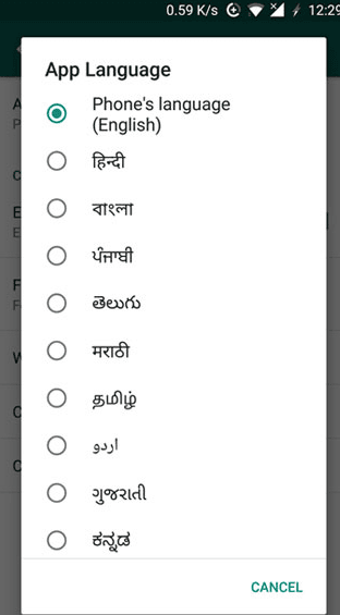 WhatsApp Language