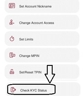 PNB application kyc status