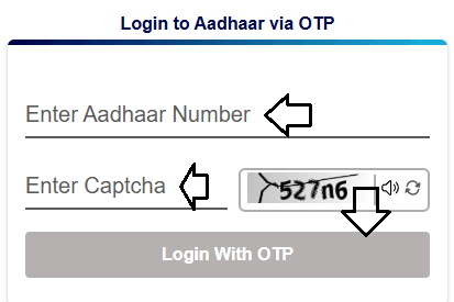 NPCI check Status