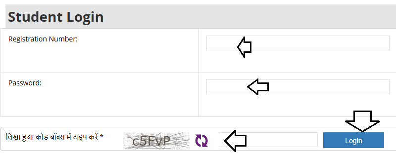 computer course training