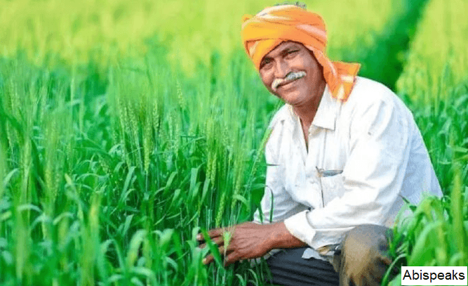 Haryana Chara Bijai Yojana