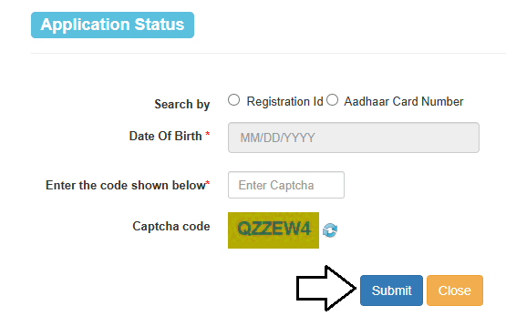 Application Status form