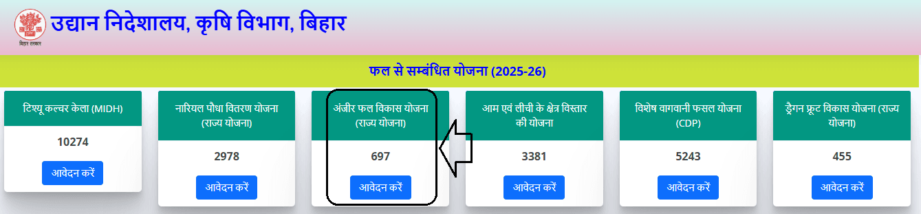Anjeer Vikas Yojana Apply