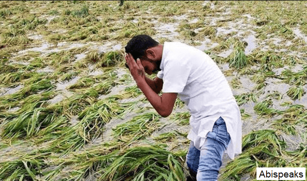 Mukhyamantri Bagwani Bima Yojana