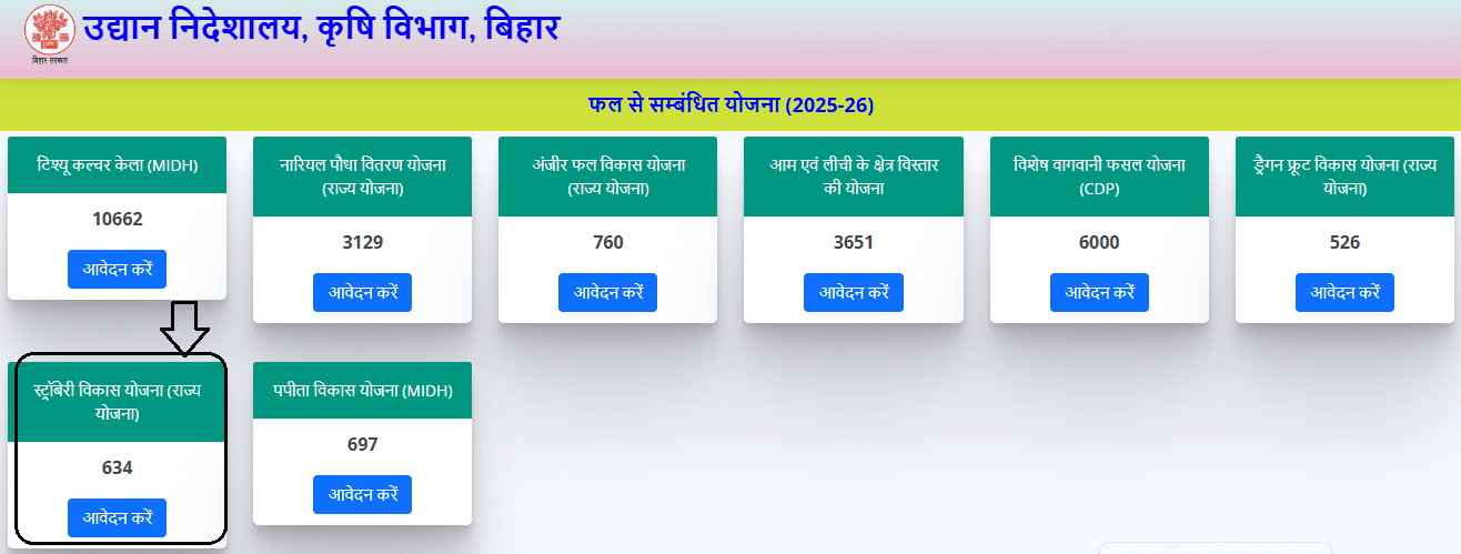 Strawberry Vikas Yojana