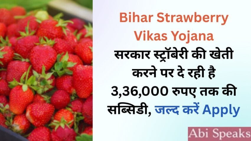 Strawberry Vikas Scheme
