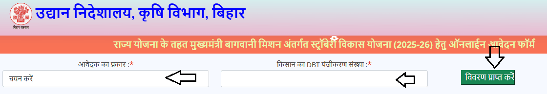 Strawberry Vikas Scheme