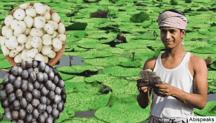 Makhana Vikas Yojana