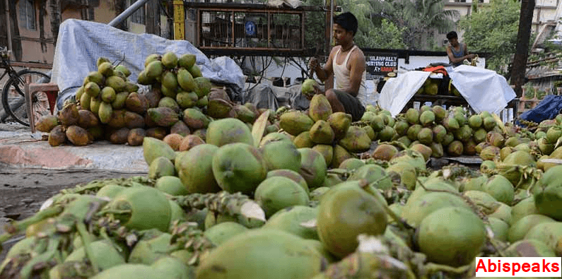Coconut Protsahan Yojana